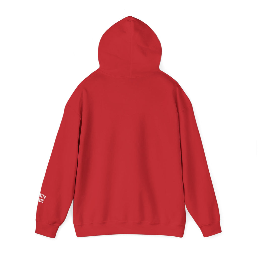 Hoodie — Bonita Vibes Minimal Graphic Pullover