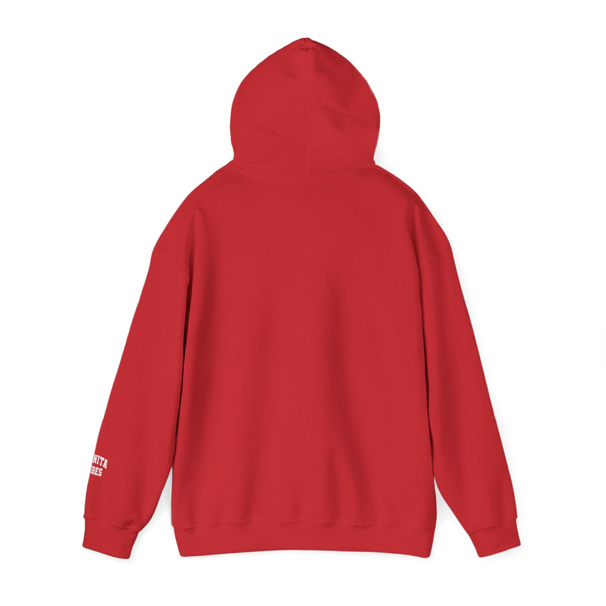 Hoodie — Bonita Vibes Minimal Graphic Pullover