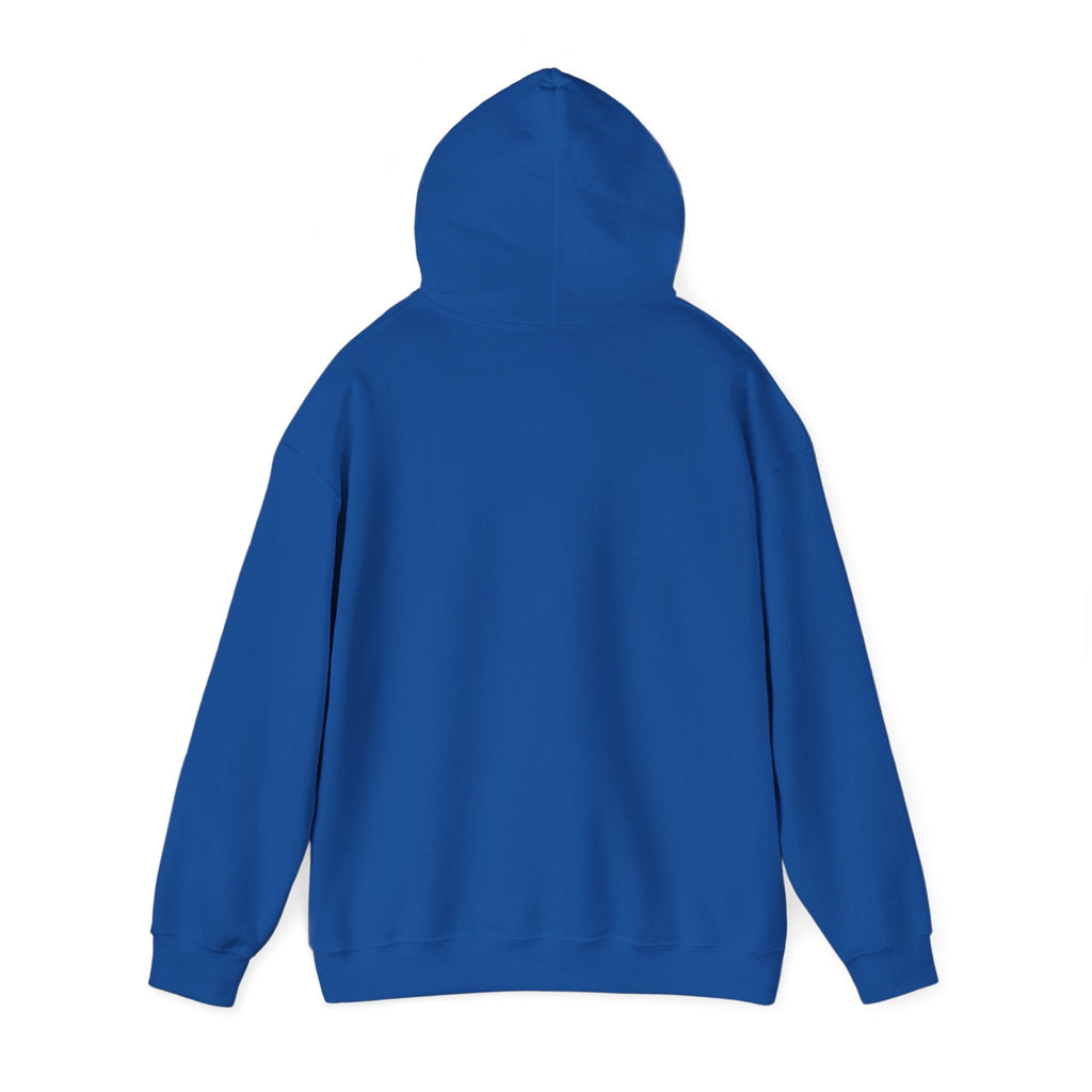 Bonita Vibes: Vibes Unleashed Hooded Sweatshirt - My Bonita Vibes