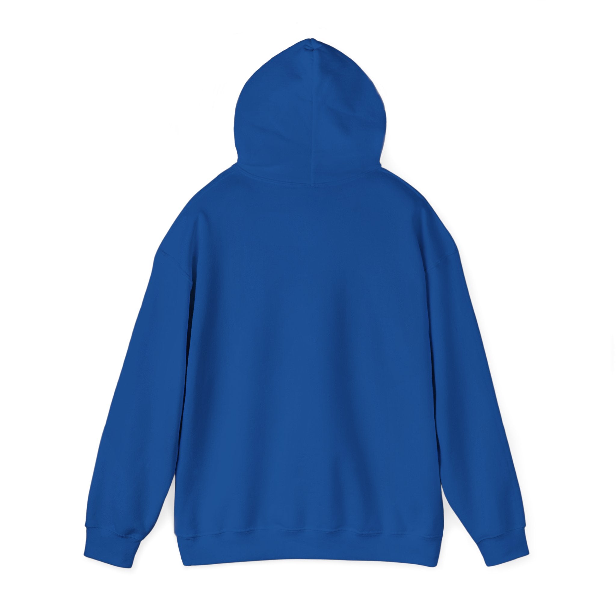 Bonita Vibes: Vibes Unleashed Hooded Sweatshirt - My Bonita Vibes