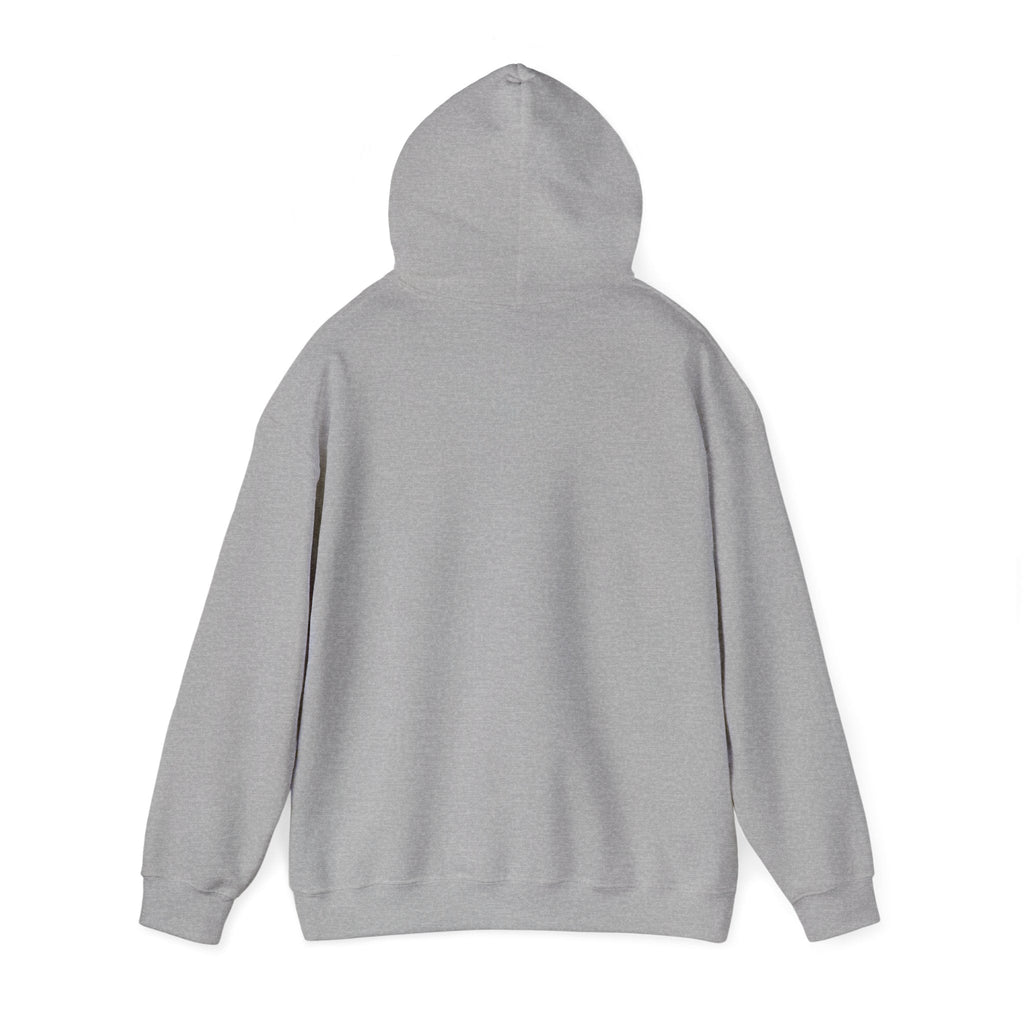 Bonita Vibes: Vibes Unleashed Hooded Sweatshirt - My Bonita Vibes