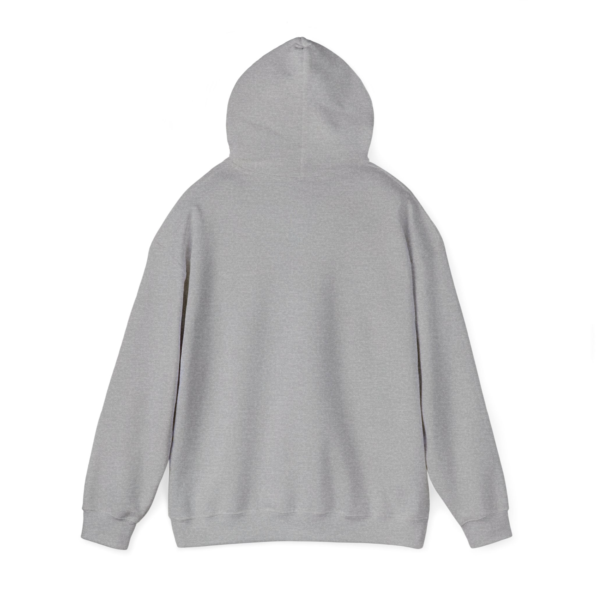 Bonita Vibes: Vibes Unleashed Hooded Sweatshirt - My Bonita Vibes