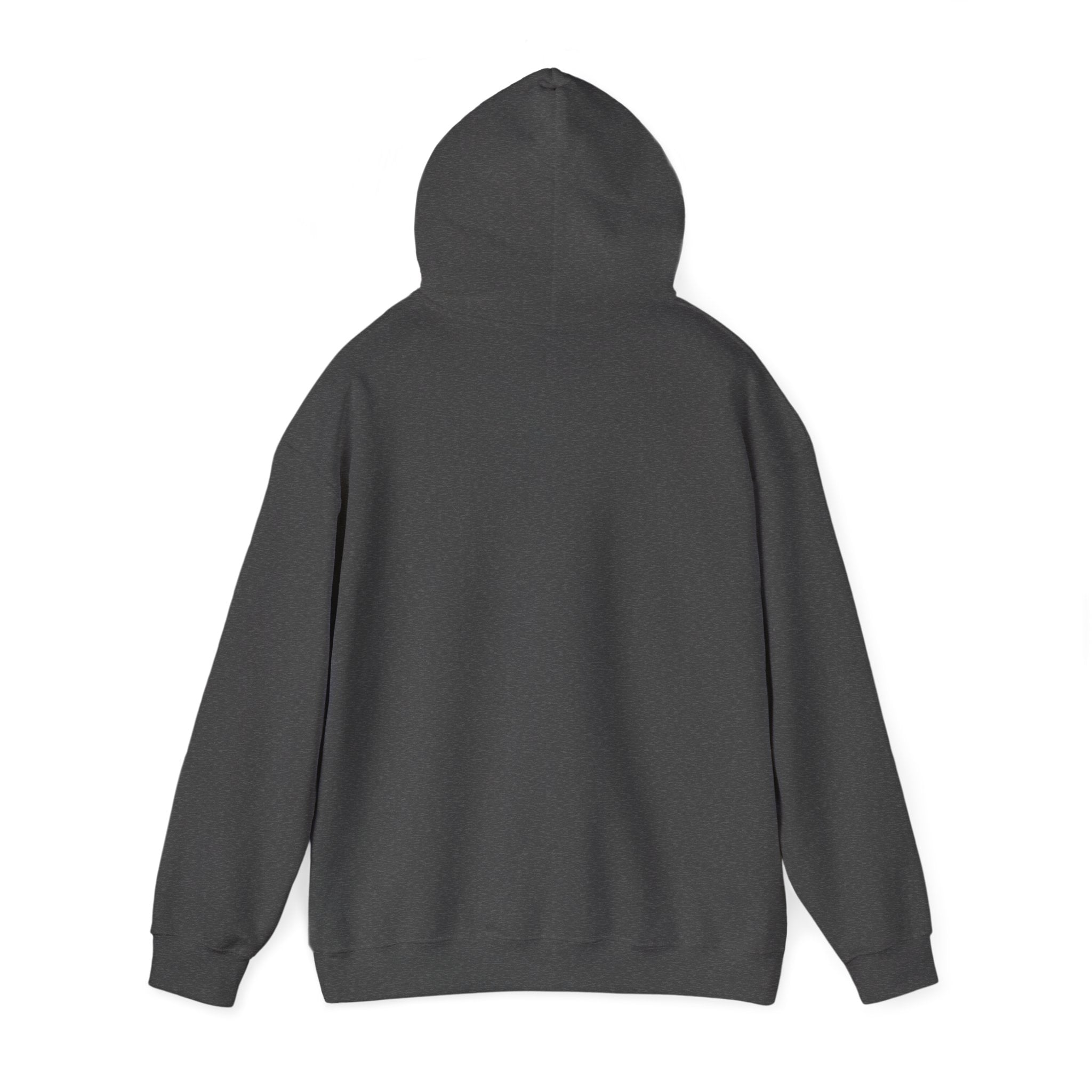 Bonita Vibes: Vibes Unleashed Hooded Sweatshirt - My Bonita Vibes