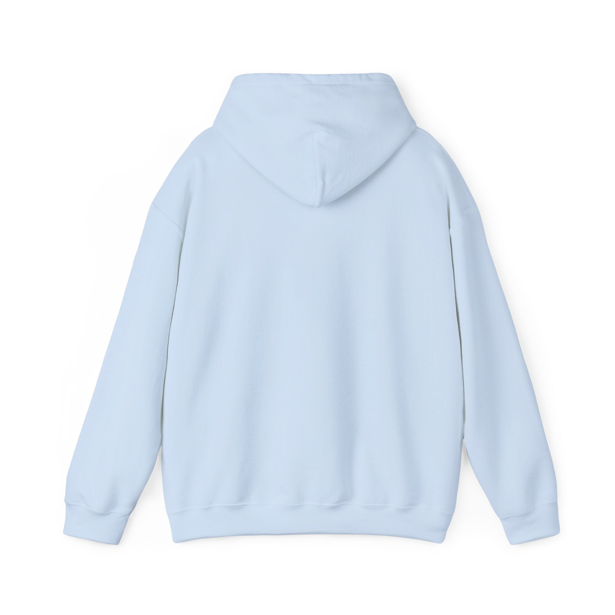 Bonita Vibes: Vibes Unleashed Hooded Sweatshirt - My Bonita Vibes