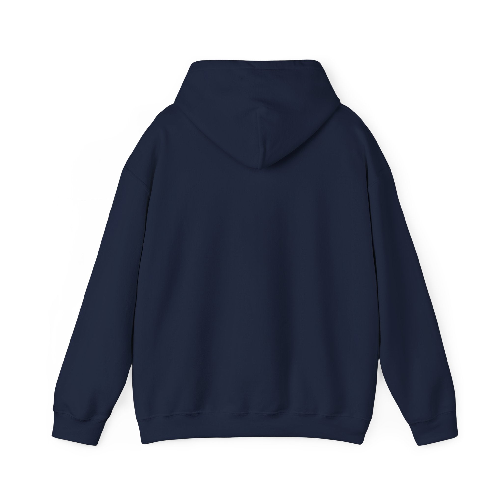 Bonita Vibes: Vibes Unleashed Hooded Sweatshirt - My Bonita Vibes