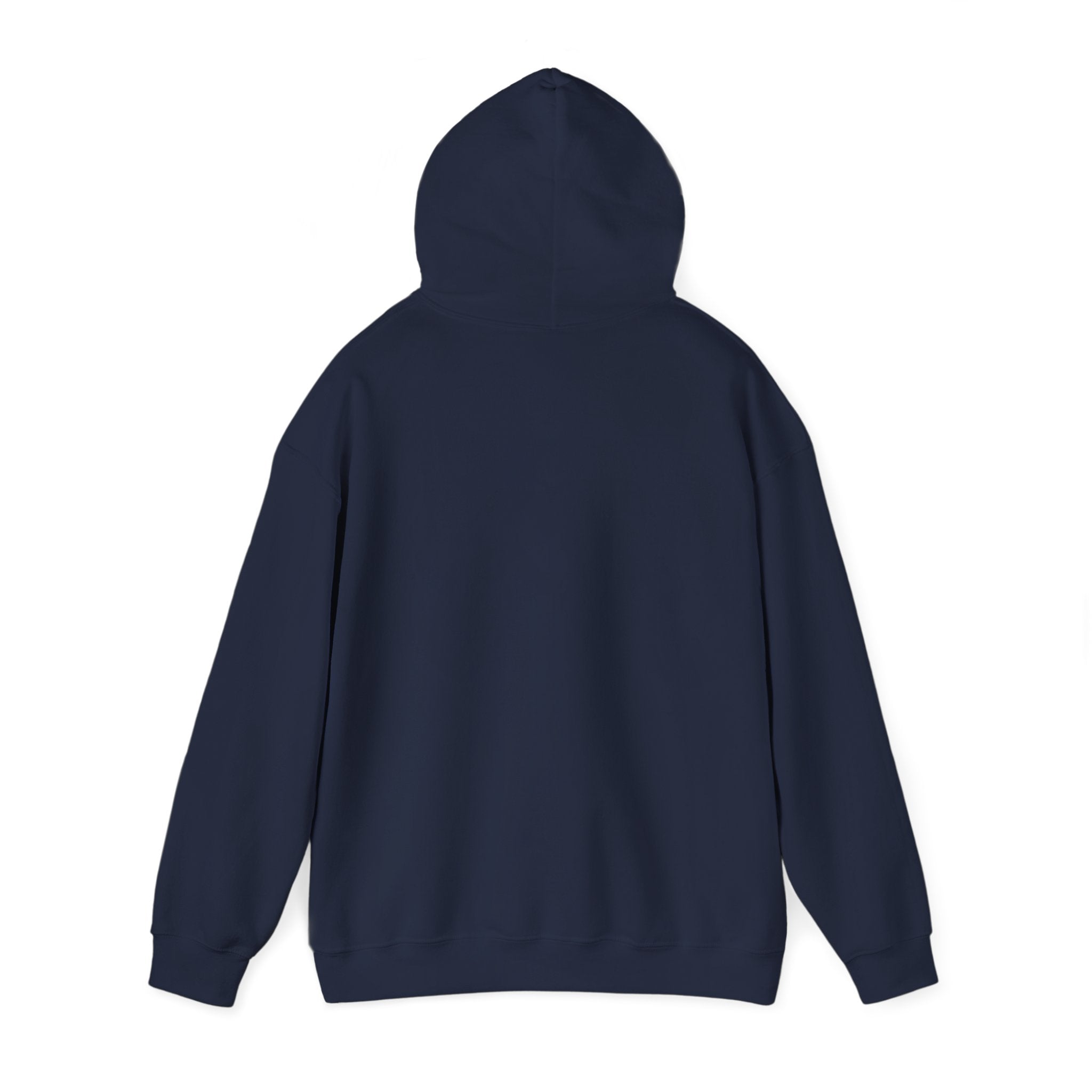 Bonita Vibes: Vibes Unleashed Hooded Sweatshirt - My Bonita Vibes
