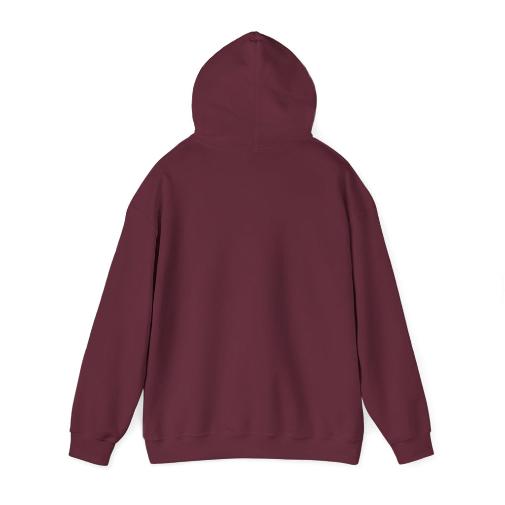 Bonita Vibes: Vibes Unleashed Hooded Sweatshirt - My Bonita Vibes