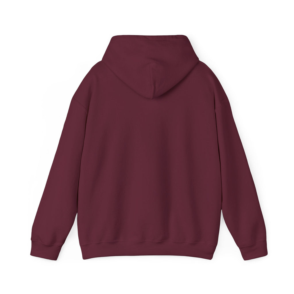 Bonita Vibes: Vibes Unleashed Hooded Sweatshirt - My Bonita Vibes
