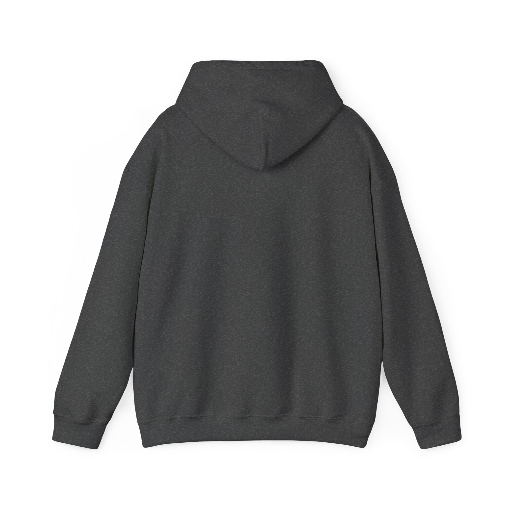 Bonita Vibes: Vibes Unleashed Hooded Sweatshirt - My Bonita Vibes