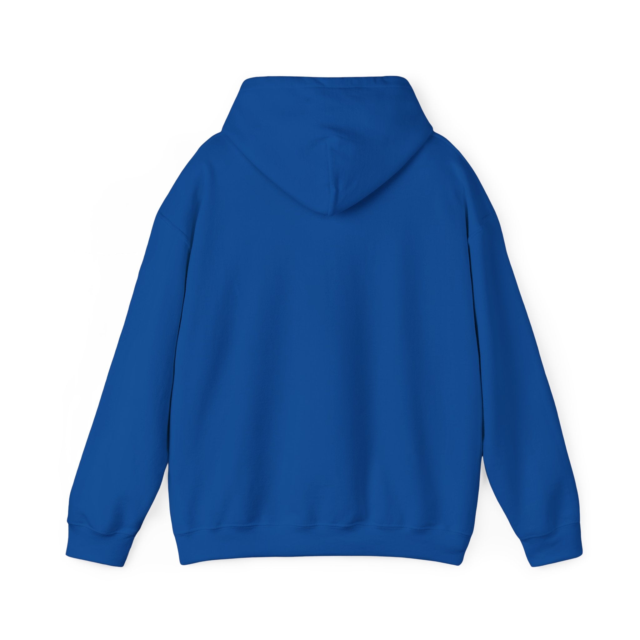 Bonita Vibes: Vibes Unleashed Hooded Sweatshirt - My Bonita Vibes