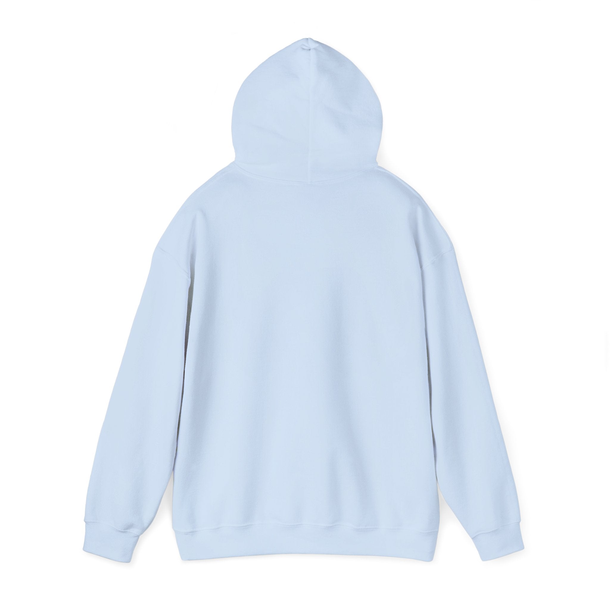 Bonita Vibes: VIBES UNLEASHED Hoodie | Sweatshirt for Comfort, Casual & Gifting | Perfect for Relaxing Days, Friend Gatherings, and [...] - My Bonita Vibes